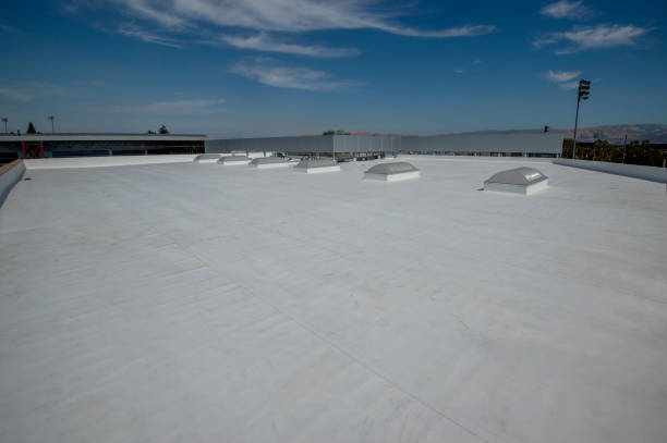 Best Roof Insulation Installation  in Ruckersville, VA